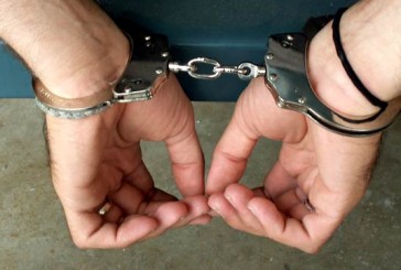 Jandarmii reşiţeni au prins hoţul!