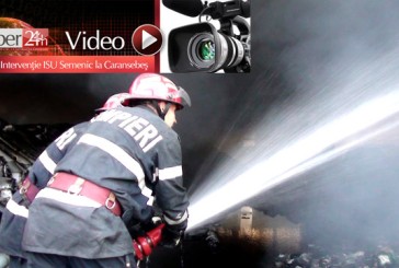 Găini prăjite la Turnu Ruieni, dar nu la rotisor