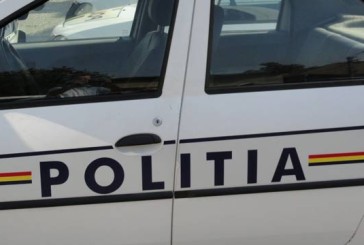 Trei într-unu la Bocşa