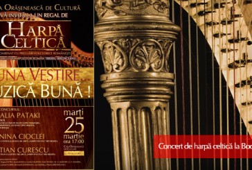 Regal de harpă celtică la Bocşa