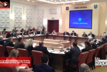 Comoţie în Consiliul Judeţean Caraş-Severin. Rezultat: handbaliştii primesc bani la mustaţă