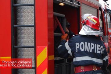 Pompierii cărăşeni lucrează la foc continuu: cinci intervenţii în 24 de ore