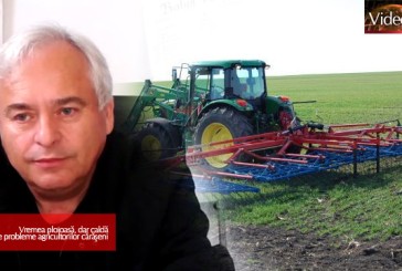 Vremea ploioasă, dar caldă pune probleme agricultorilor cărăşeni
