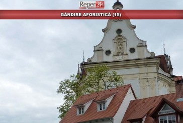 GÂNDIRE AFORISTICĂ (15)