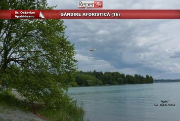 GÂNDIRE AFORISTICĂ (16)