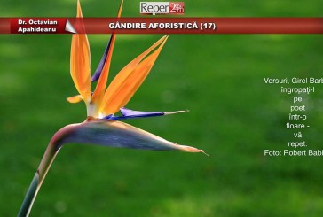 GÂNDIRE AFORISTICĂ (17)