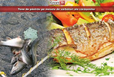 Tone de păstrăv pe mesele de sărbători ale cărășenilor. Direcția Silvică se poate lăuda anul acesta cu o producție record!