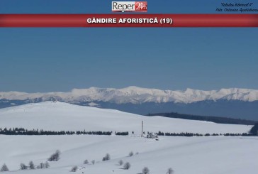 GÂNDIRE AFORISTICĂ (19)