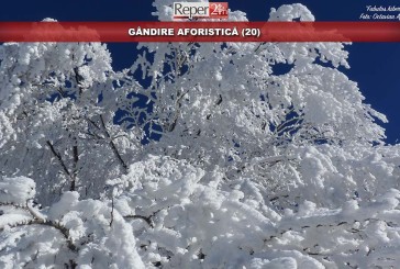 GÂNDIRE AFORISTICĂ (20)