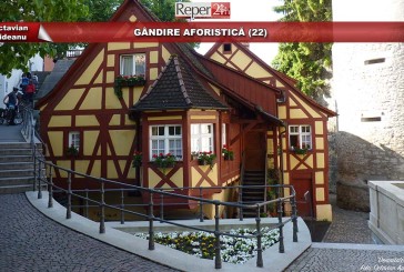 GÂNDIRE AFORISTICĂ (22)