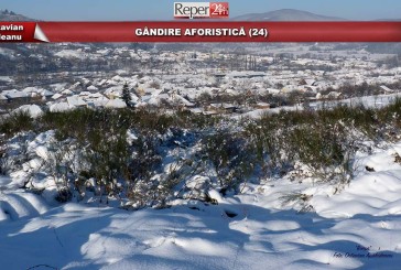 GÂNDIRE AFORISTICĂ (24)