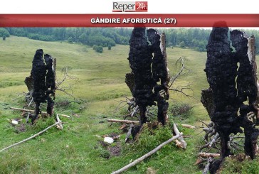 GÂNDIRE AFORISTICĂ (27)