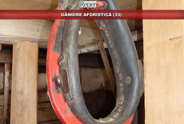 GÂNDIRE AFORISTICĂ (33)