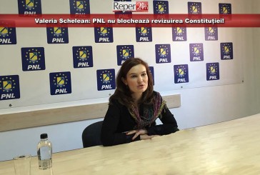 Valeria Schelean: PNL nu blochează revizuirea Constituției!