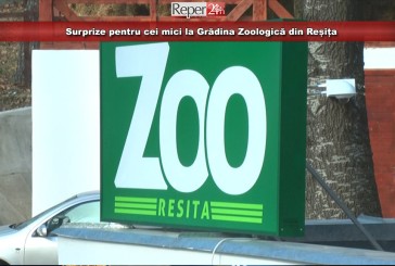 Surprize pentru cei mici la Grădina Zoologică din Reșița