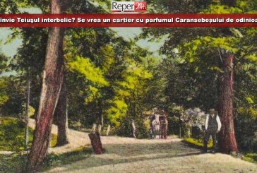 Reînvie Teiuşul interbelic? Se vrea un cartier care să poarte parfumul Caransebeșului de odinioară!