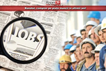 Banatul, campion pe piața muncii în ultimii ani! Vezi cât au crescut salariile și numărul locurilor de muncă!