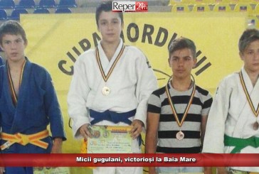 Micii gugulani, victorioși la Baia Mare