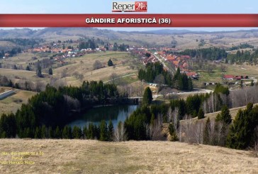 GÂNDIRE AFORISTICĂ (36)