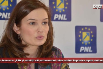 Valeria Schelean: „PSD și sateliții săi parlamentari reiau asaltul împotriva luptei anticorupție”