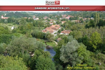 GÂNDIRE AFORISTICĂ (37)