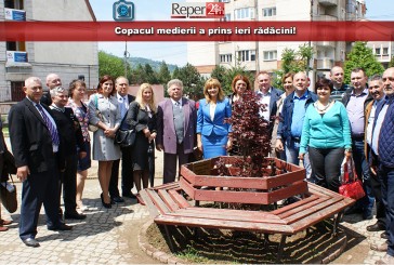 Copacul medierii a prins ieri rădăcini!