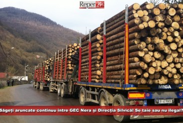 Săgeți aruncate continuu între GEC Nera și Direcția Silvică!