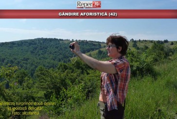 GÂNDIRE AFORISTICĂ (42)