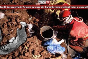 O fosilă descoperită în Peștera cu oase din Caraș-Severin, schimbă istoria omenirii!