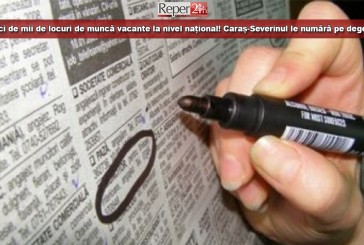 Zeci de mii de locuri de muncă vacante la nivel național! Județul Caraș-Severin le numără pe degete!