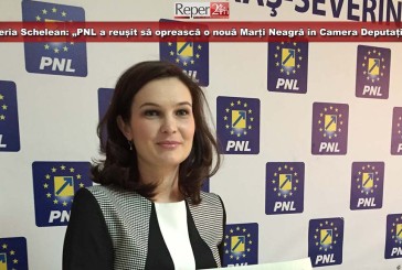 Valeria Schelean: „PNL a reușit să oprească o nouă Marți Neagră în Camera Deputaților”