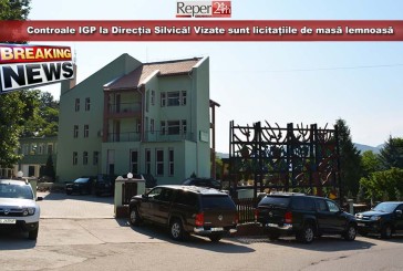 Controale IGP la Direcția Silvică! Vizate sunt licitațiile de masă lemnoasă organizate în ultimii doi ani!