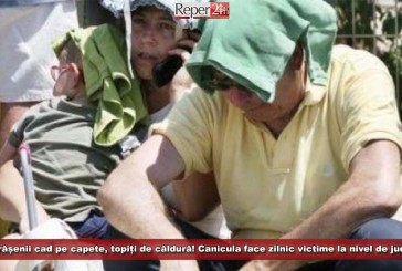 Cărășenii cad pe capete, topiți de căldură! Canicula face zilnic victime la nivel de județ!