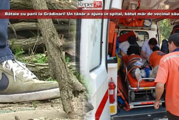 Bătaie cu parii la Grădinari! Un tânăr a ajuns în spital, bătut măr de vecinul său!