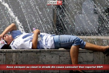 Zece cărășeni au căzut în stradă din cauza caniculei! Vezi raportul DSP!