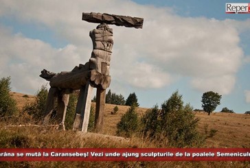 Gărâna se mută la Caransebeş! Vezi unde ajung sculpturile de la poalele Semenicului!