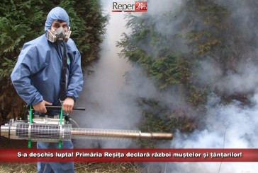 S-a deschis lupta! Primăria Reșița declară război muștelor și țânțarilor!