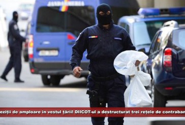 Percheziții de amploare în vestul țării! DIICOT-ul a destructurat simultan trei rețele de contrabandă cu țigări!