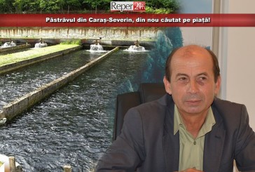 Păstrăvul din Caraș-Severin, din nou căutat pe piață! 200 de tone ajung anual în magazine din întreaga țară!