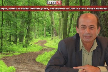 Lupul, paznic la stână! Abateri grave, descoperite la Ocolul Silvic Bocșa Română!