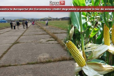 Dezastru la Aeroportul din Caransebeș: clădiri degradate și porumb în loc de avioane!