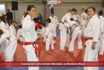 Cunoaştere prin Artele Marţiale, la Moldova Nouă
