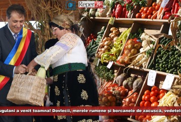 La gugulani a venit toamna! Dovlecii, merele rumene și borcanele de zacuscă, vedetele acestor zile!