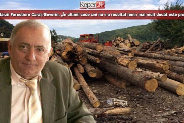 Şeful Gărzii Forestiere Caraş-Severin: „În ultimii zece ani nu s-a recoltat lemn mai mult decât este prevăzut!”