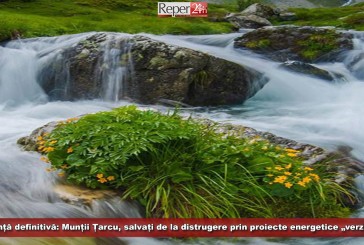 Sentință definitivă: Munții Țarcu, salvați de la distrugere prin proiecte energetice „verzi”!