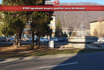 STOP agresiunii asupra spațiilor verzi din Reșița! Organizațiile de mediu adresează o scrisoare deschisă viceprimarului Crina!