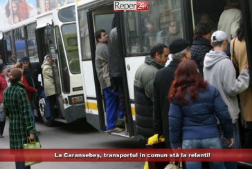 La Caransebeș, transportul în comun stă la relanti!