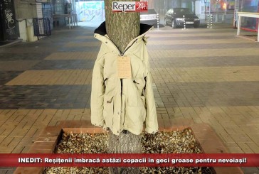 INEDIT: Reșițenii îmbracă astăzi copacii în geci groase pentru nevoiași!