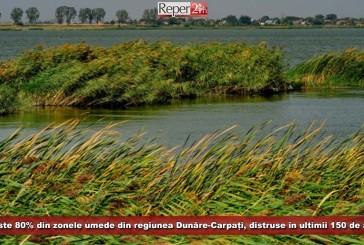 Peste 80% din zonele umede din regiunea Dunăre-Carpați, distruse în ultimii 150 de ani!