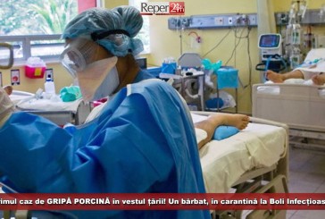 Primul caz de GRIPĂ PORCINĂ în vestul țării! Un bărbat, în carantină la Boli Infecțioase!